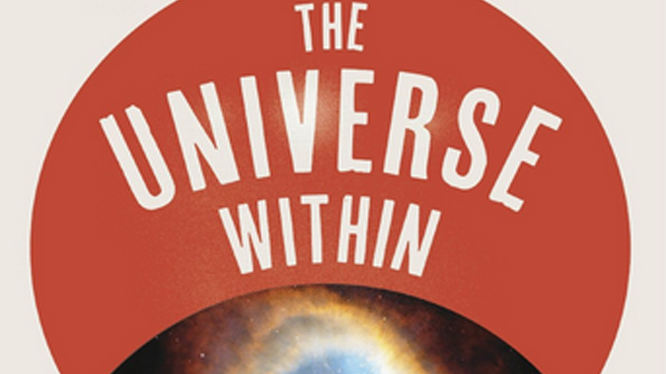 The Universe Within