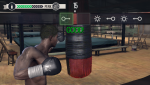 Real Boxing