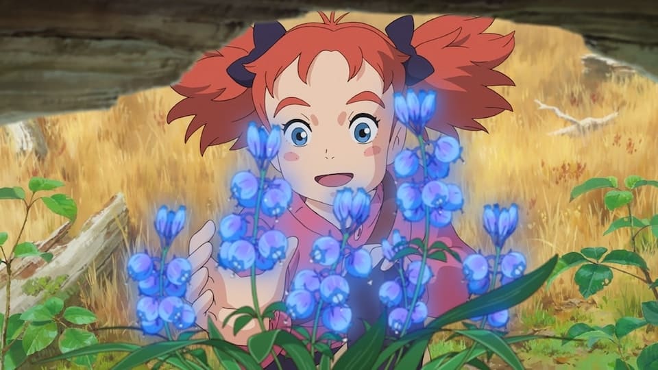Mary and the Witch's Flower