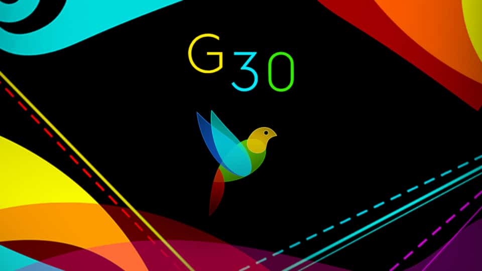 G 30