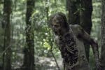 The Walking Dead - 10x01