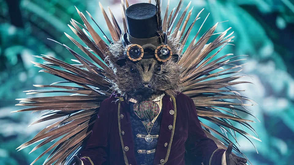The Masked Singer - Hedgehog