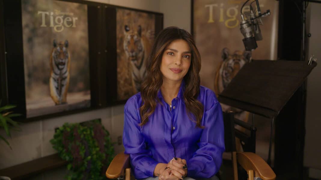 Priyanka Chopra Jonas - Tiger